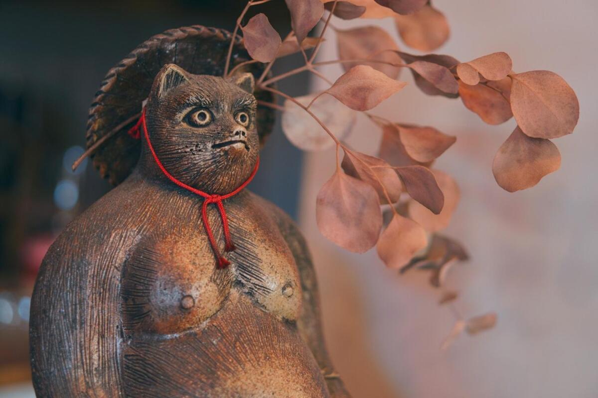 宿たぬきのねどこ Guesthouse Tanuki 토코나메 외부 사진